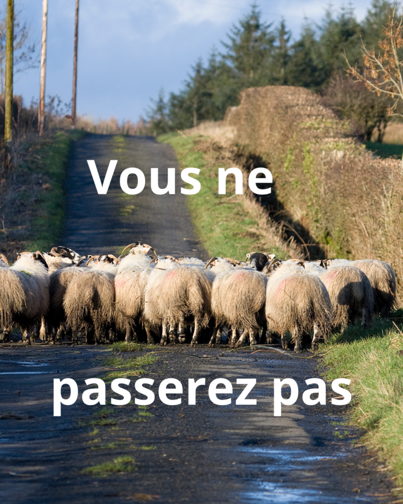 Peptide inhibiteur d'enzymes