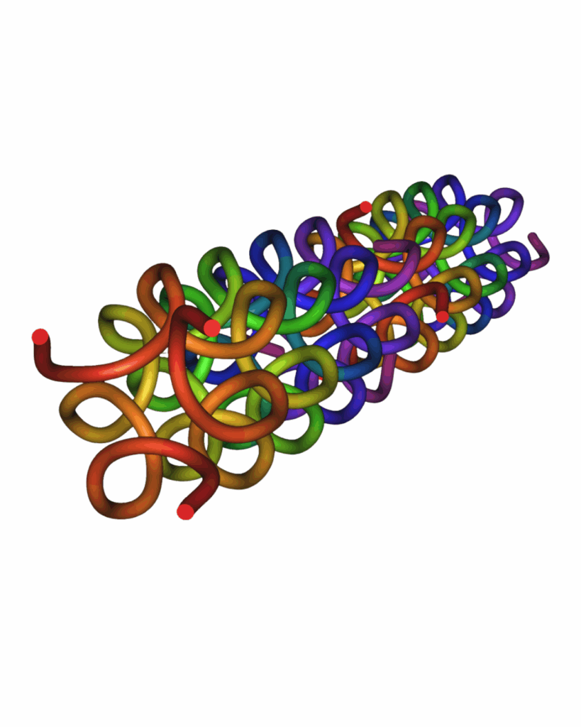 La triple hélice de collagène 