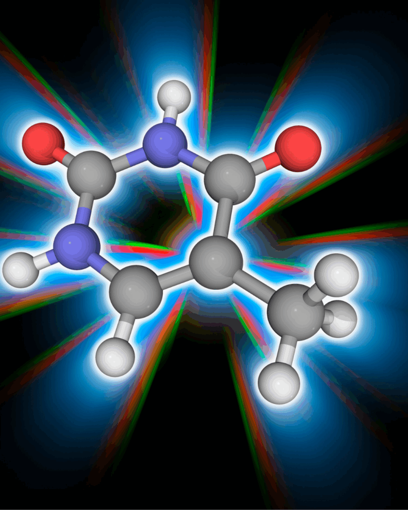 L'adénosine, pour un sommeil profond.