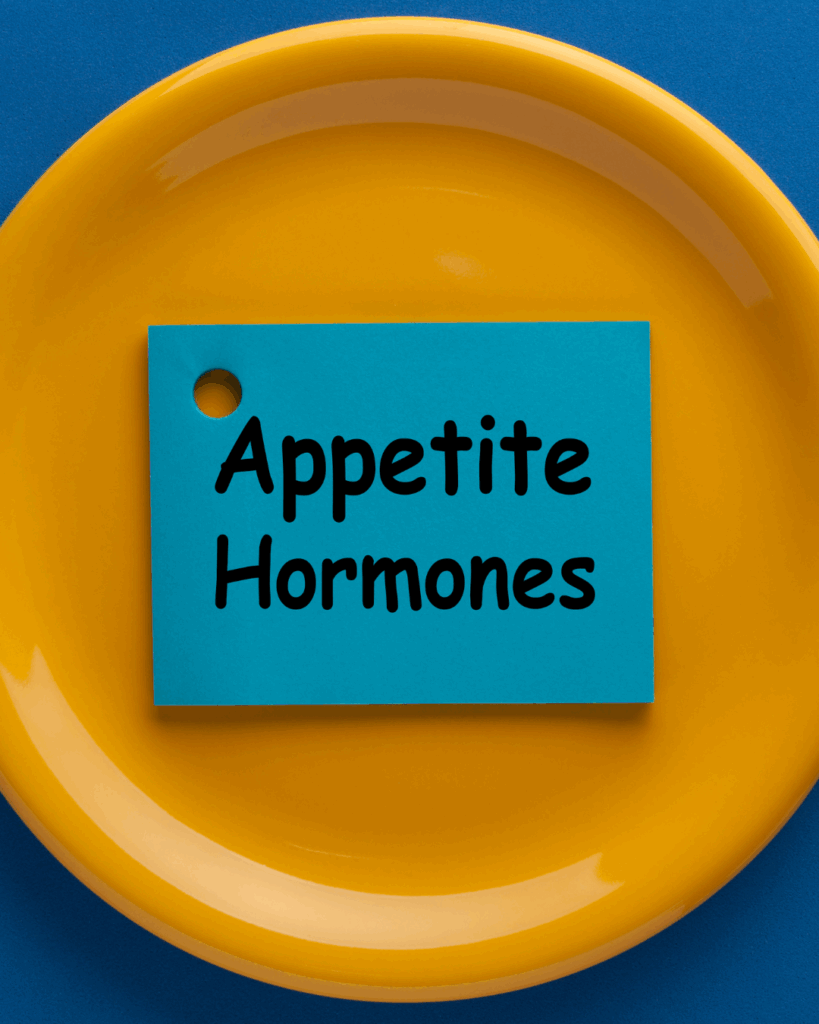 Les hormones de l'appétit : ghréline et leptine