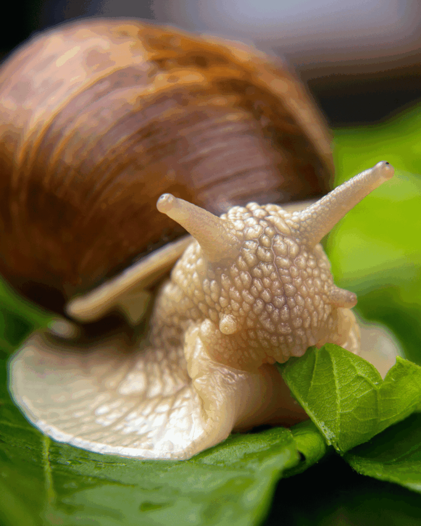 Les différentes tendances Skincare se suivent et s'accélèrent.
